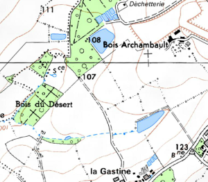 Bois-Archambault - La Poitevinière - DILÉ Michel