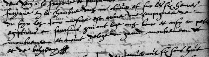 Arrivée d'une compagnie d'Egyptiens, Saint-Pierre-Montlimart, 1607 - (AD49)