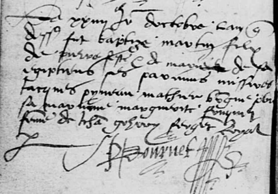 Egyptien Martin - 1546 - Cheviré-le-Rouge