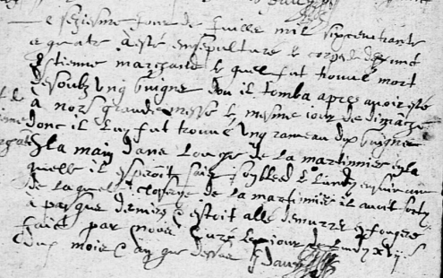 Mort sous un guignier-1634-Montpollin