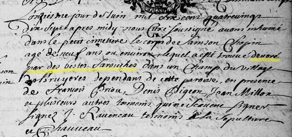 chopin-samson-s-11-06-1697-soucelles-devore-bete-farouche-1