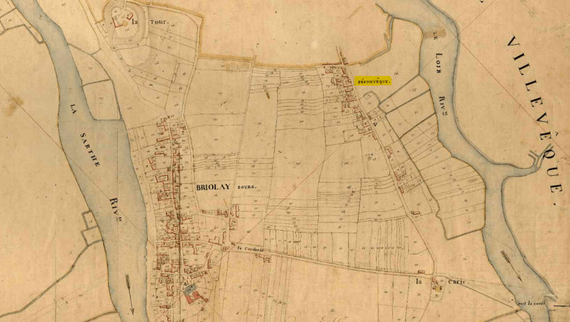 pecheveque-cadastre_napoleonien